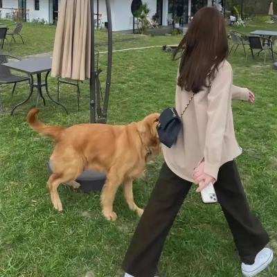 白色强人