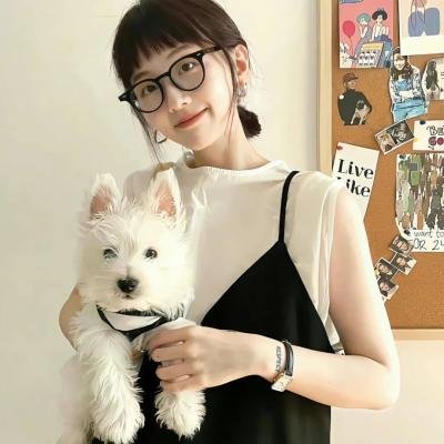 战争姐妹